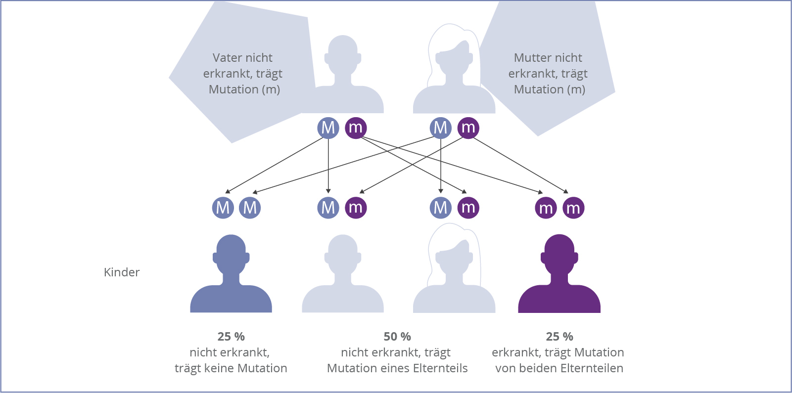 Übersicht Vererbungsmuster
