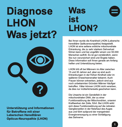 Flyer Erstinformation