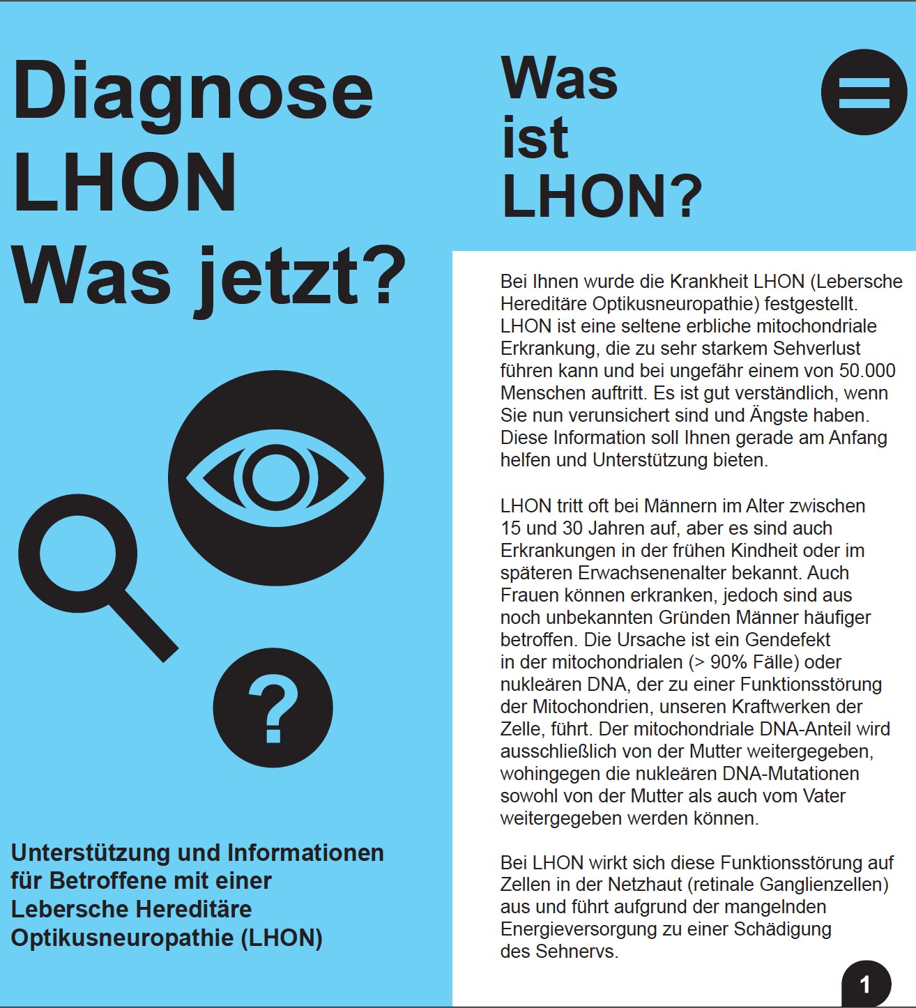 Bild des LHON-Flyers zu Erstinformationen. Diagnose LHON was jetzt? Was ist LHON?